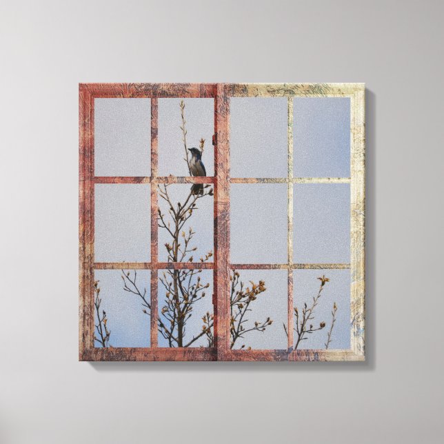 Blue Bird in Window Canvas Print (Front)