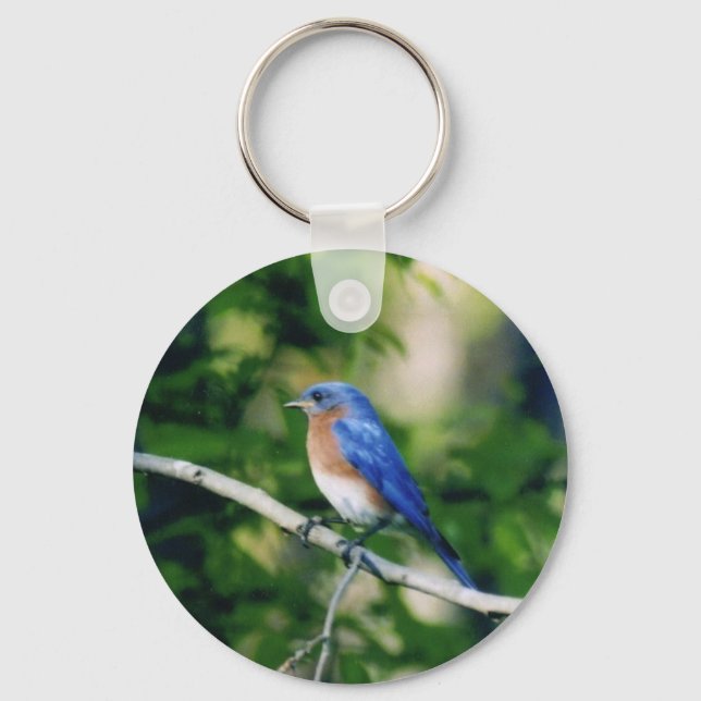 Blue bird key ring (Front)