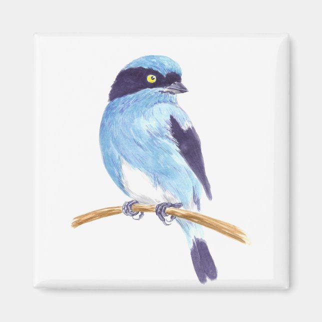 Blue bird magnet (Front)