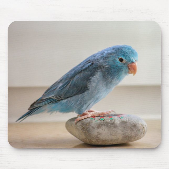 Blue Bird Mouse Mat (Front)