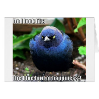 blue bird of happiness