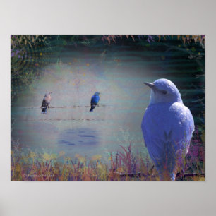 Blue Bird of Happiness - An Original Artwork Poster