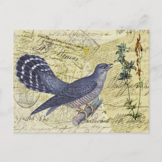 Blue Bird of Happiness Postcard (Front)
