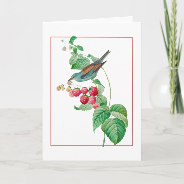 Blue Bird on a Raspberry Branch Card (Front)