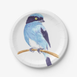 Blue bird paper plate