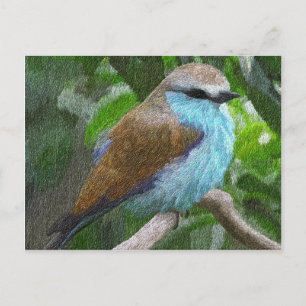 Blue Bird Postcard