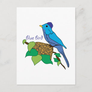 Blue Bird Postcard