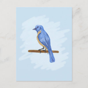Blue Bird Postcard