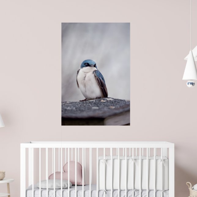 Blue Bird Poster (Nursery 2)