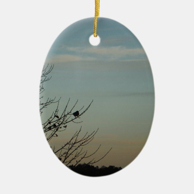 Blue Bird silhouette Powder Blue Sky Ceramic Tree Decoration (Front)
