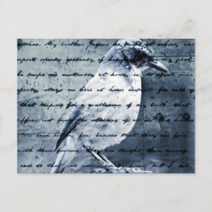 Blue Bird Song Postcard
