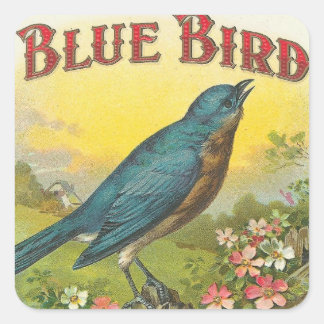 Blue Bird Square Sticker