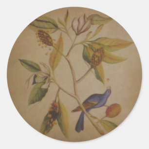 Blue Bird ~ Sticker Nature Floral Vintage