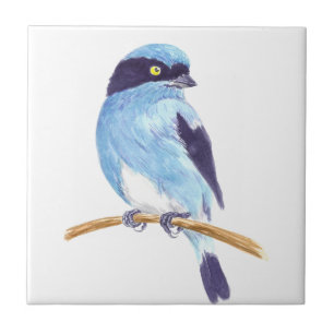 Blue bird tile
