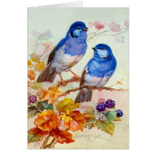 Blue birds