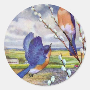 Blue Birds Classic Round Sticker