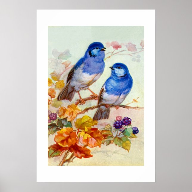 Blue birds poster (Front)