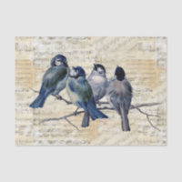Blue Birds Vintage Sheet Music Tissue Paper