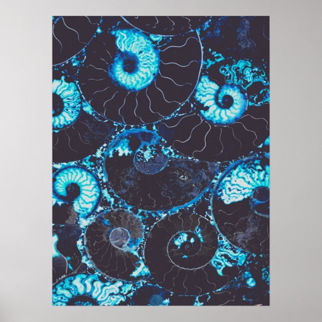 Blue black Nautilus shell pattern, scared geometry Poster (Front)