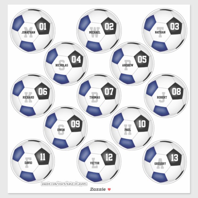 blue black soccer team colours 13 players names (Sheet)