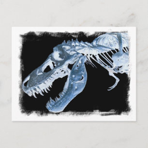 Blue & Black T-Rex X-Ray Bones Photo Postcard