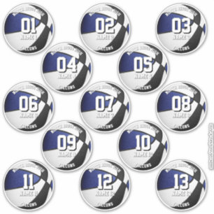 blue black team colors 13 basketball players names