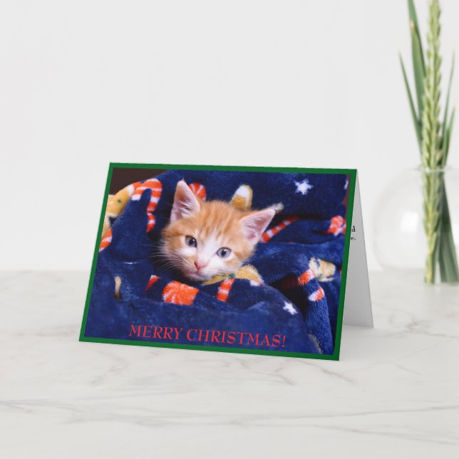 Blue Blanket Cat Merry Christmas Orange Kitten  Holiday Card (Front)