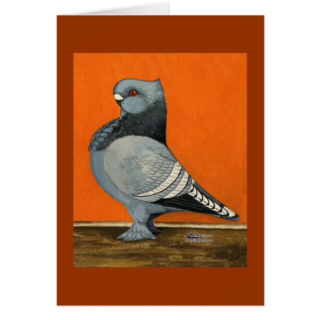 Blue Blondinette Pigeon (Front)