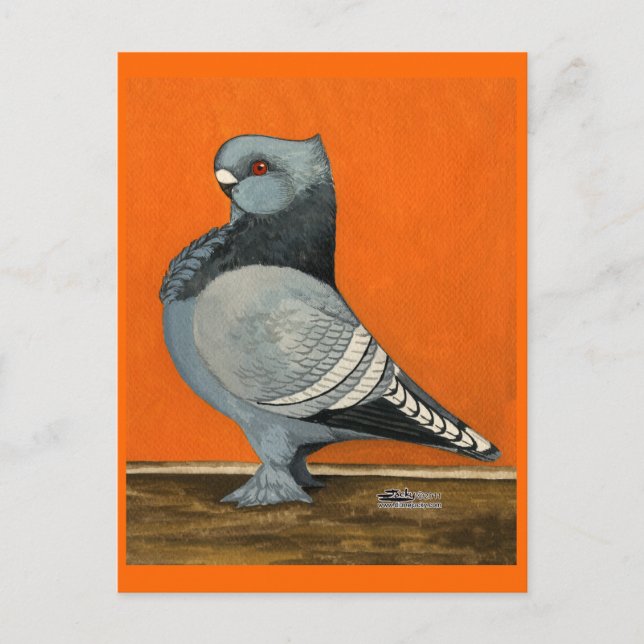 Blue Blondinette Pigeon Postcard (Front)