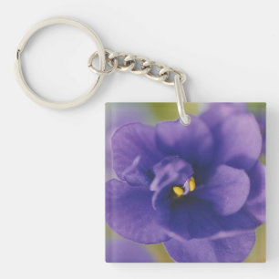 Blue Blooming Flower of Violet Saintpaulia Zoomed Key Ring