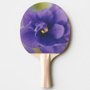 Blue Blooming Flower of Violet Saintpaulia Zoomed Ping Pong Paddle