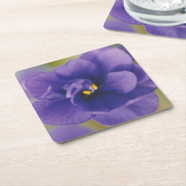 Blue Blooming Flower of Violet Saintpaulia Zoomed Square Paper Coaster (Angled)