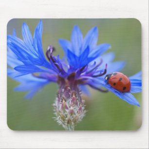 Blue Blossoms Ladybug Peace Love Destiny Art Vine Mouse Mat