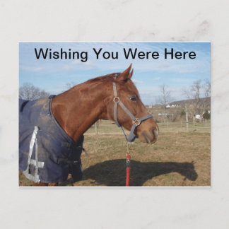 Blue Blue Sea - Wishing You Were Here Postcard