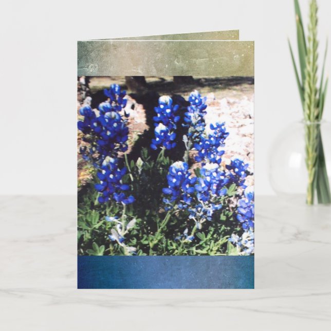 Blue Bonnet Blank Greeting Card (Front)