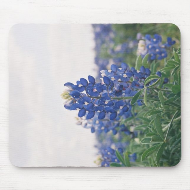 Blue Bonnet Mouse Mat (Front)