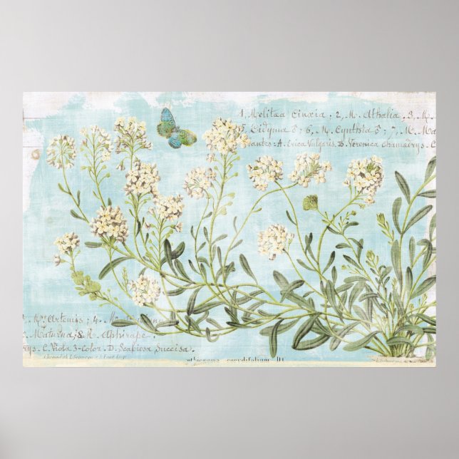 Blue Botanical Poster (Front)