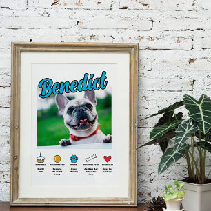 Blue Boy Customised About Your Dog Photo Poster