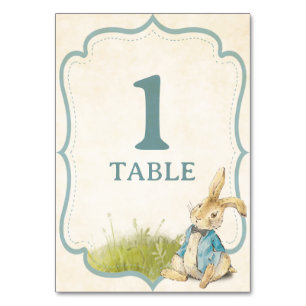 Blue Boy Peter The Rabbit Vintage Baby Shower Table Number