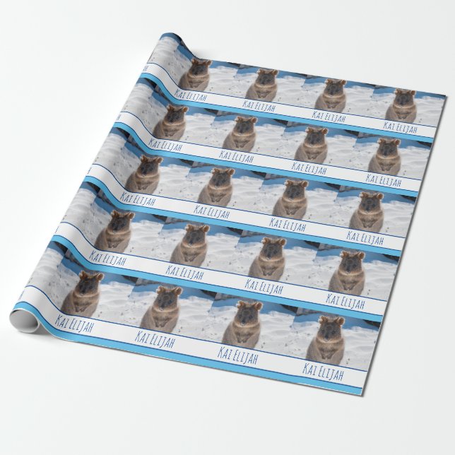 Blue Boys Personalized Quokka on the Beach Wrapping Paper (Unrolled)