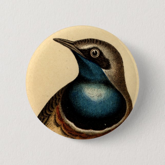 Blue Breasted Bird 6 Cm Round Badge (Front)