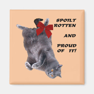 Blue British Shorthair Cat fridge magnet