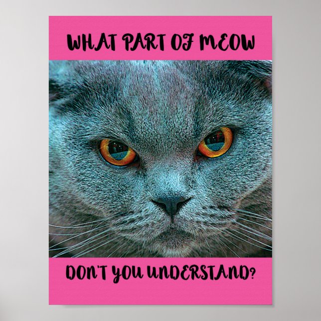 Blue British Shorthair Cat funny and humorous Poster (Front)