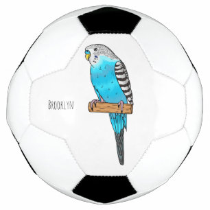 Blue budgerigar bird cartoon illustration football