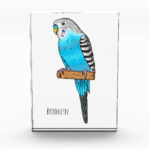 Blue budgerigar bird cartoon illustration photo block