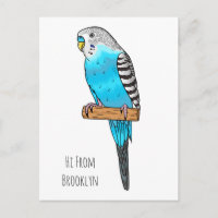 Blue budgerigar bird cartoon illustration