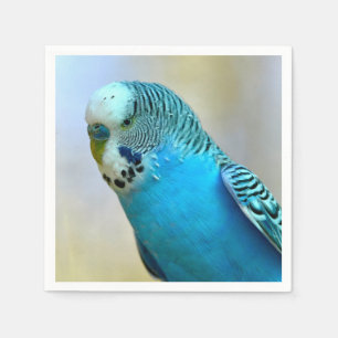 Blue budgerigar perched postcard square sticker T- Napkin