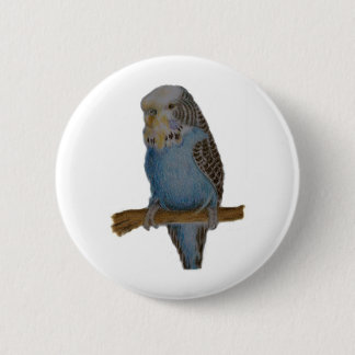 Blue budgie art button