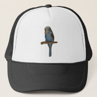 Blue Budgie Art Trucker Hat