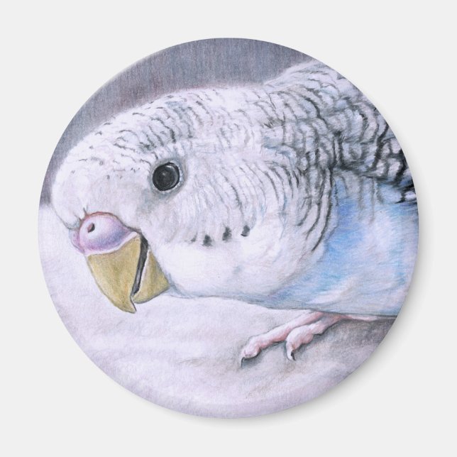 "Blue Budgie" Bird Art Magnet (Front)
